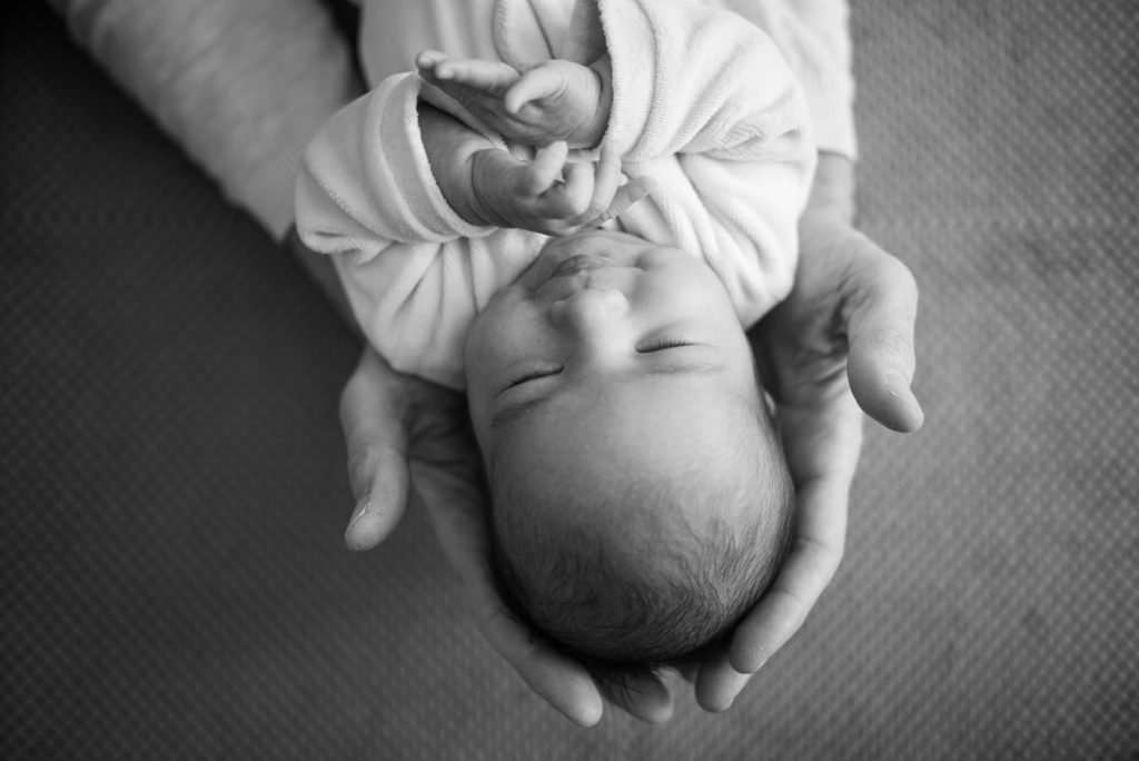 Newborn baby curled in a parent's cupped hands, black and white photograph